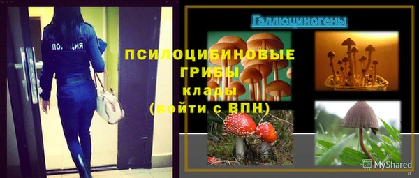 крисы Алексин
