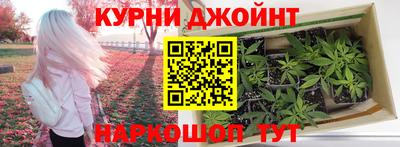 PSILOCYBIN Можга