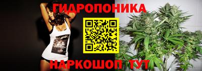 PSILOCYBIN Можга