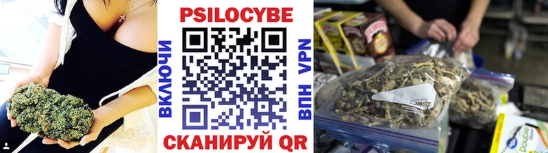 OMG зеркало  купить наркоту  Сухой Лог  Галлюциногенные грибы мухоморы 