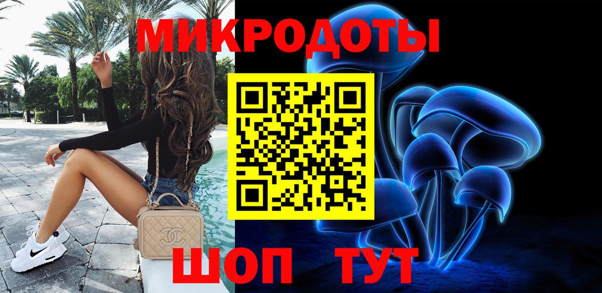 Сухой Лог  Псилоцибиновые грибы мицелий  Вход с VPN 